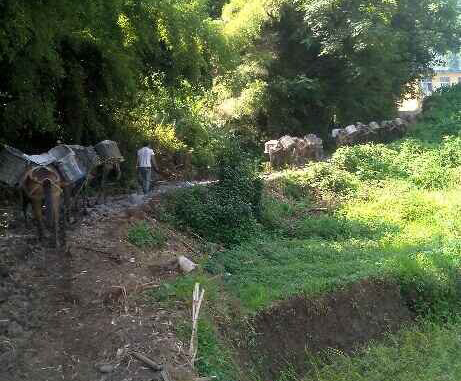 福建马帮运输队