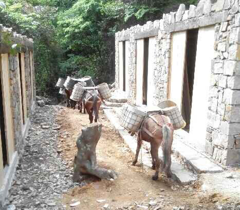 福建马队运输队