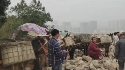 福建骡马山区运输