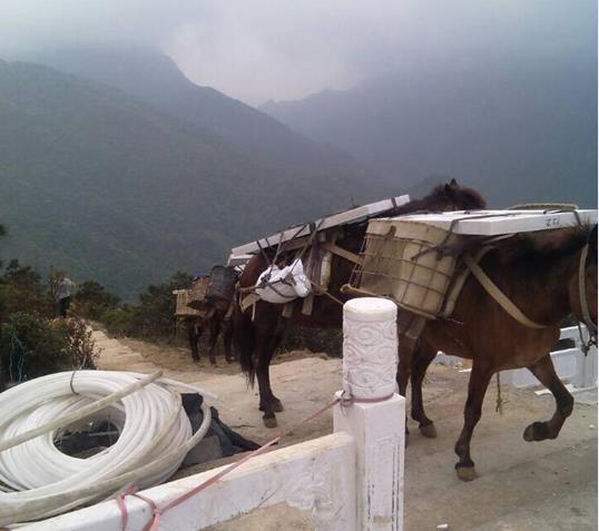 福建山区马帮运输